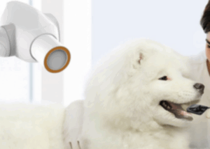 歯科用レントゲンを導入しました