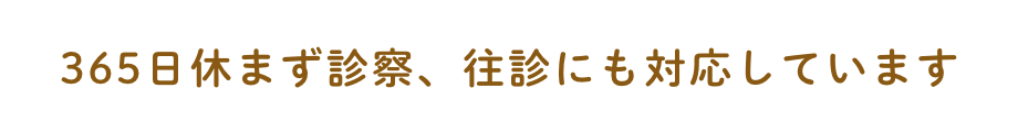365日休まず診察、往診にも対応しています