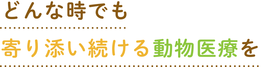 どんな時でも寄り添い続ける動物医療を