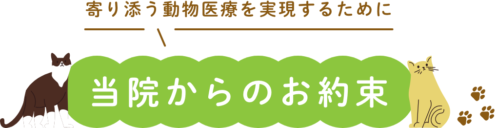 寄り添う動物医療を実現するために当院からのお約束