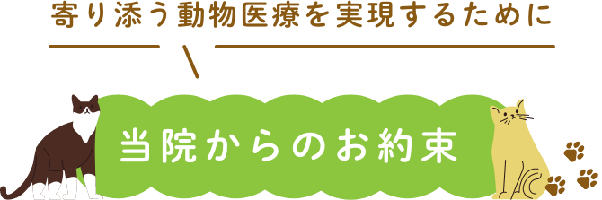 寄り添う動物医療を実現するために当院からのお約束